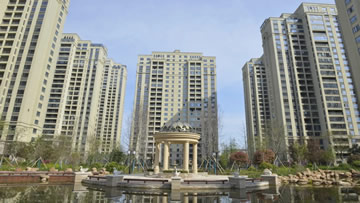 William威廉•尚含绿城项目简介